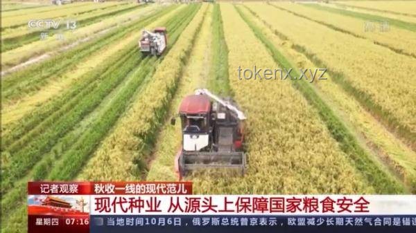 今日芒种：农耕习俗与现代生活融合指南 🌾,农事活动,养生建议,种植技巧,节气饮食